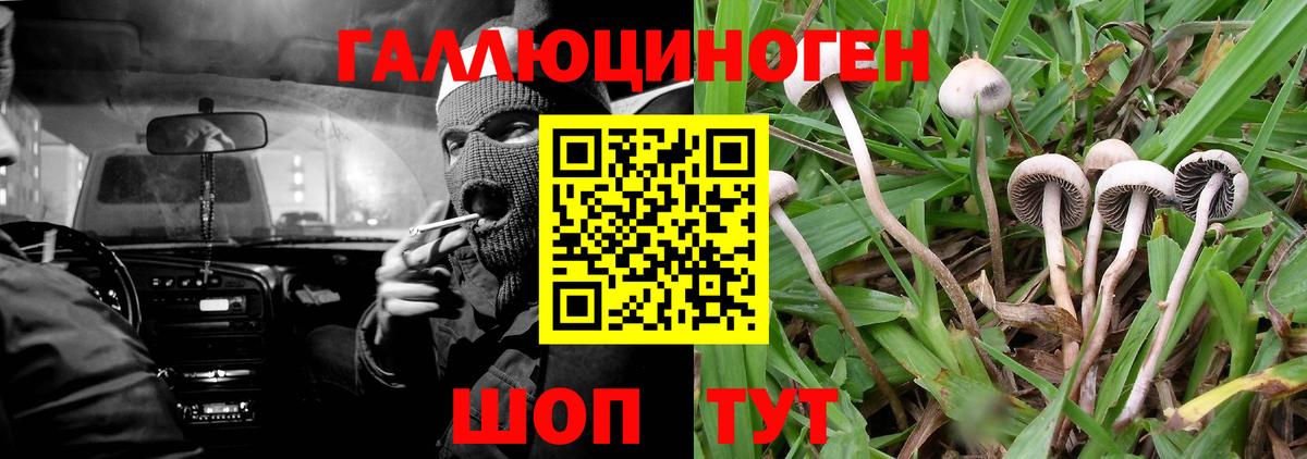 Галлюциногенные грибы ЛСД  Вход с VPN  Артёмовский 